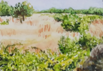 Summer Meadow, watercolor, 1 1/2 x 2