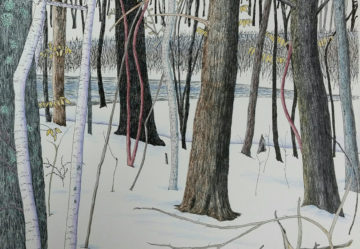 Woods in Winter XIV, ink & colored pencil, 9 x 12