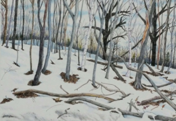 Woods in Winter XVI, 9 x 12